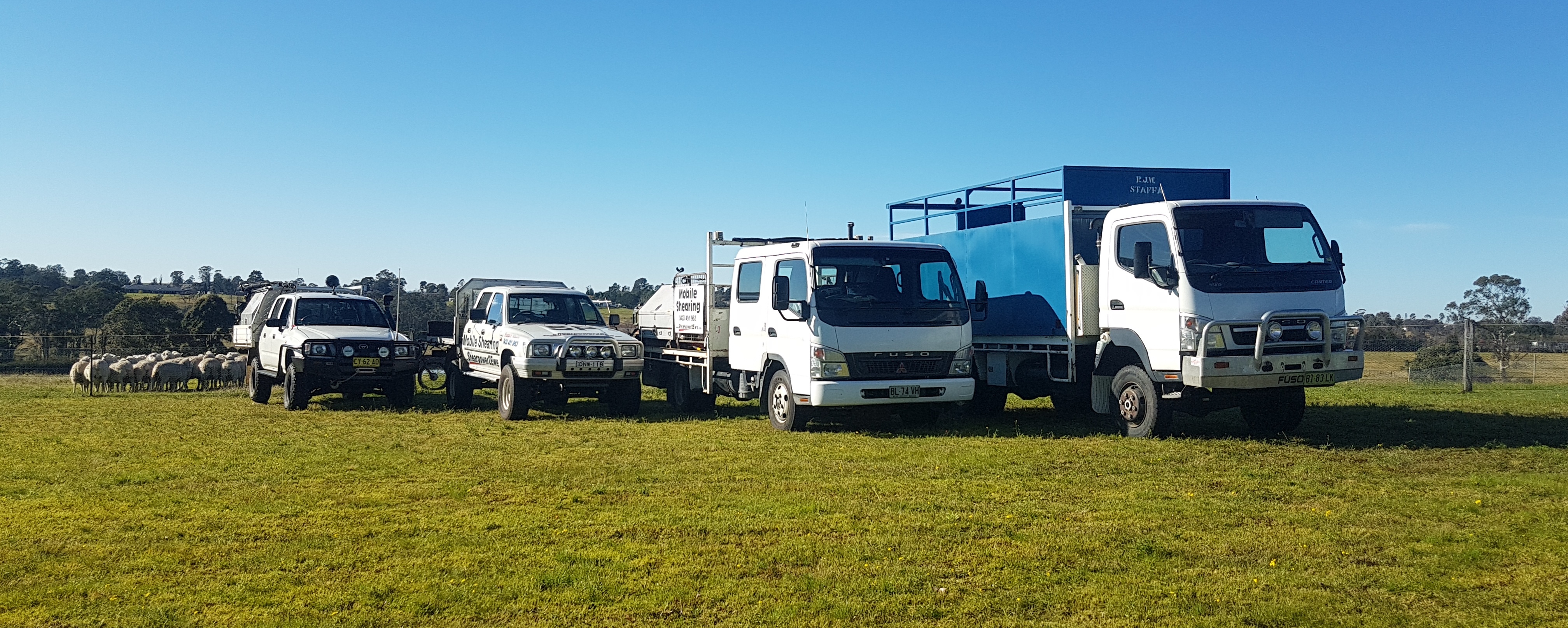 Shearpower2ewe Mobile Shearing & Livestock Care for Sheep, Alpaca, Goat ...